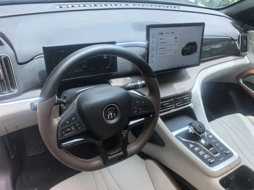 BYD Song Pro New Energy 2022 — фото 13