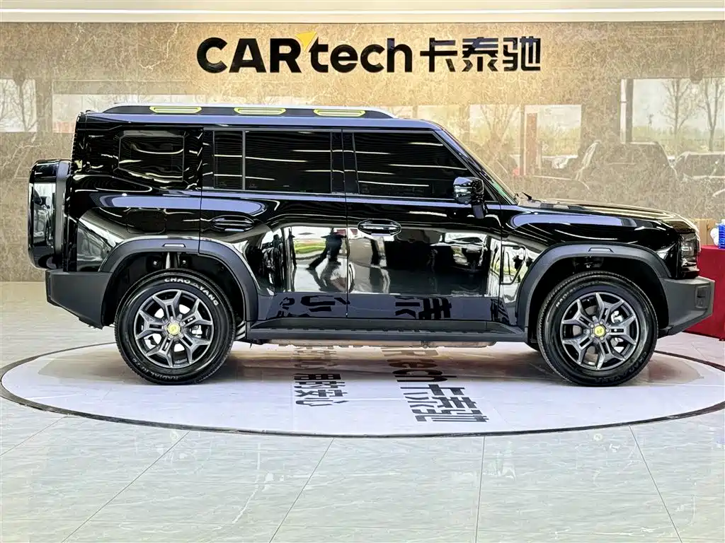 Shanhai Traveller C-DM 2025 — фото 4