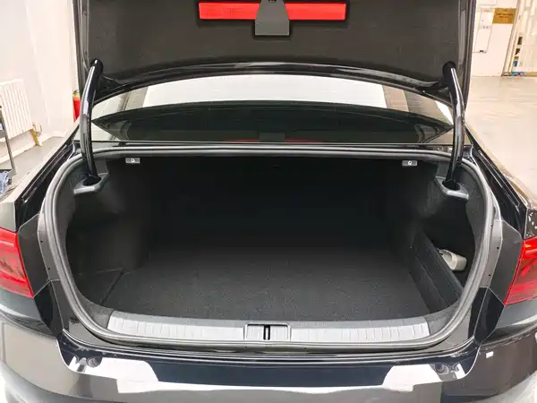 Volkswagen Magotan 2020