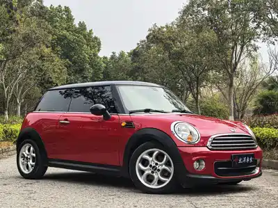 MINI MINI 2012