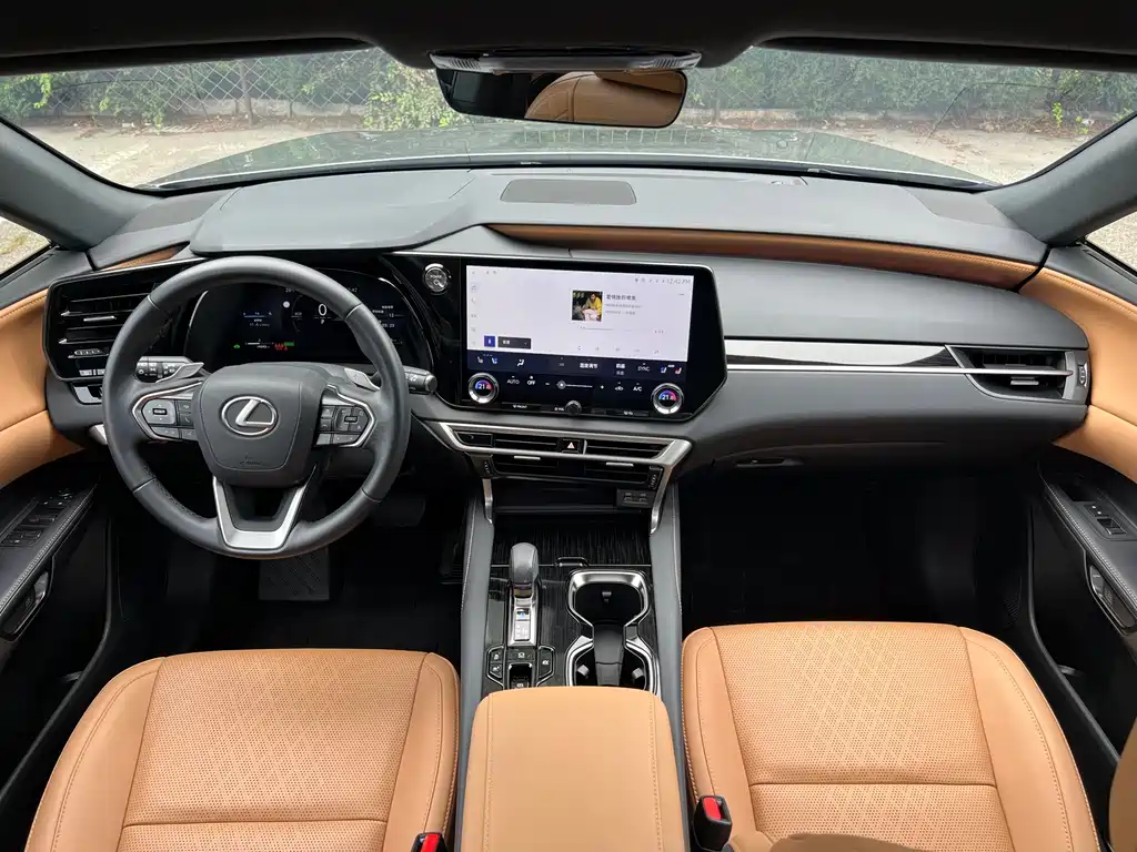 Lexus RX 2025 — фото 18