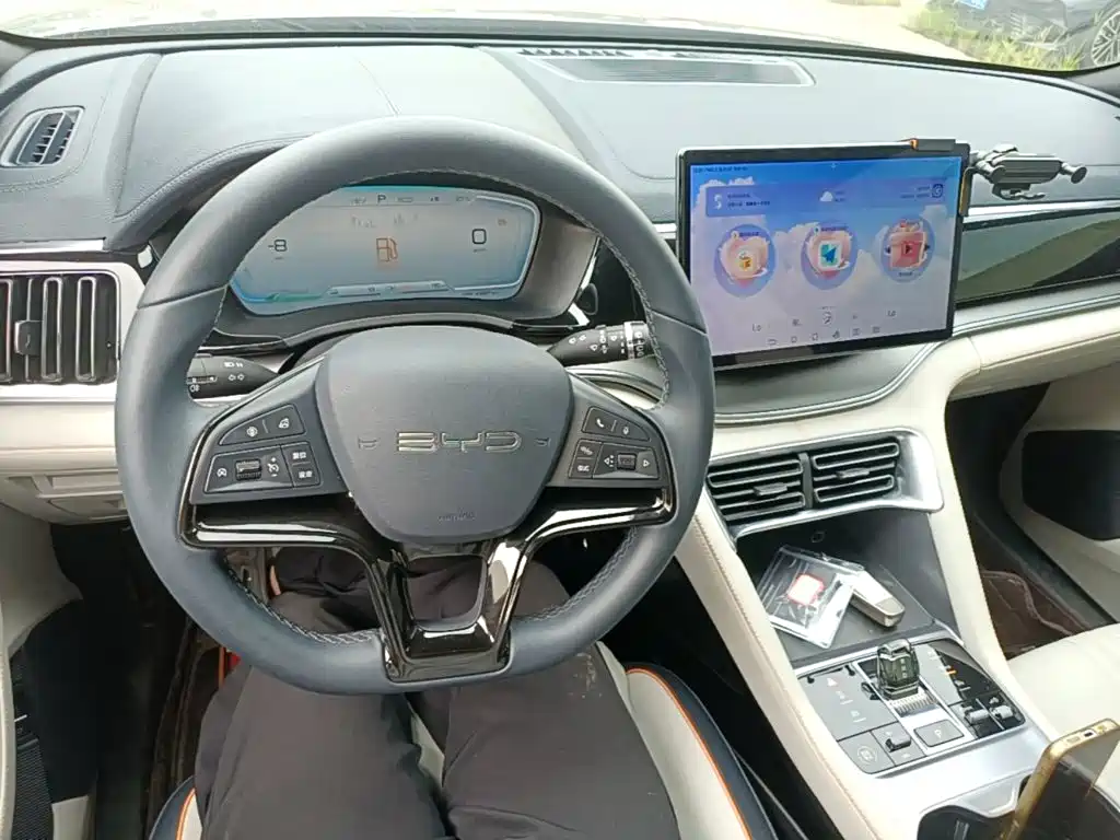 BYD Song PLUS New Energy 2024 — фото 10