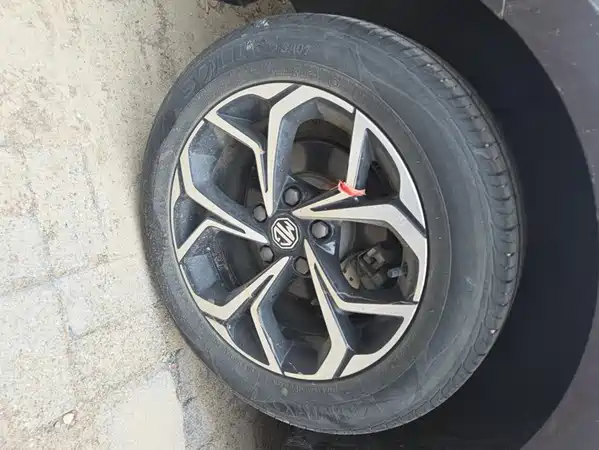 MG5 2022