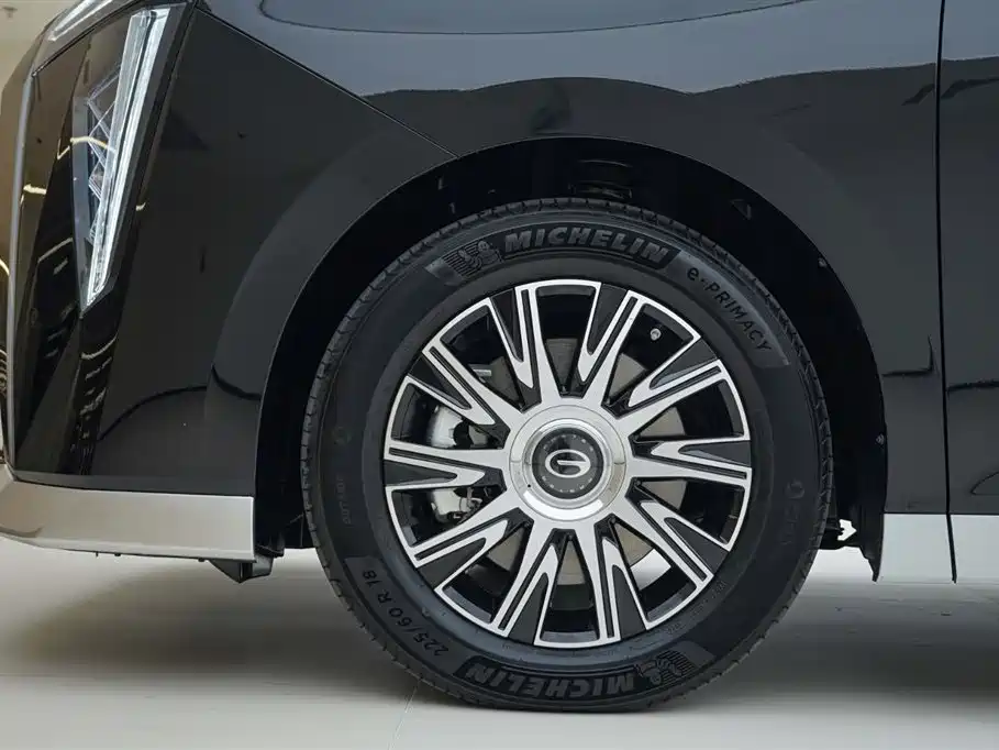 GAC Motor Trumpchi E9 2024 — фото 15