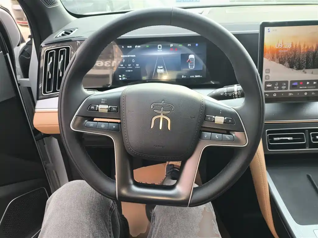 BYD L DM-i 2025 — фото 11