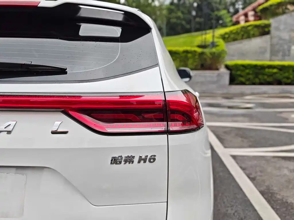 Haval H6 2023 — фото 29