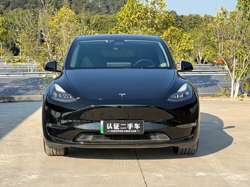 Tesla Model Y 2021 — фото 2