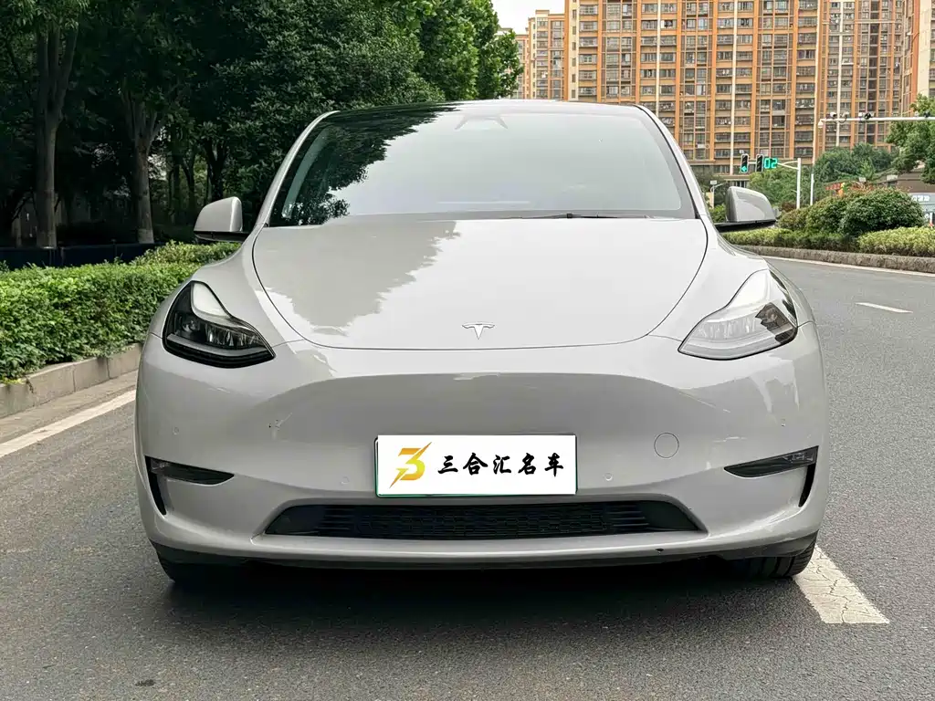 Tesla Model Y 2021 — фото 2