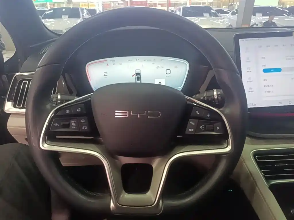 BYD PLUS New Energy 2023 — фото 11