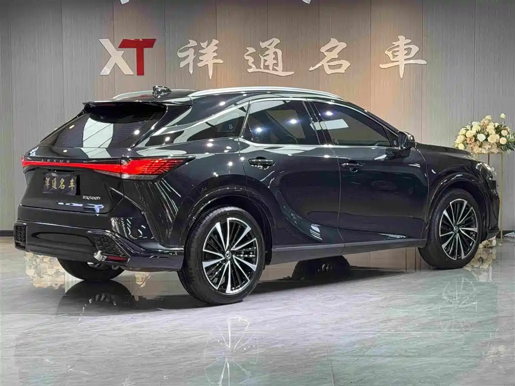 Lexus RX 2023 — фото 26