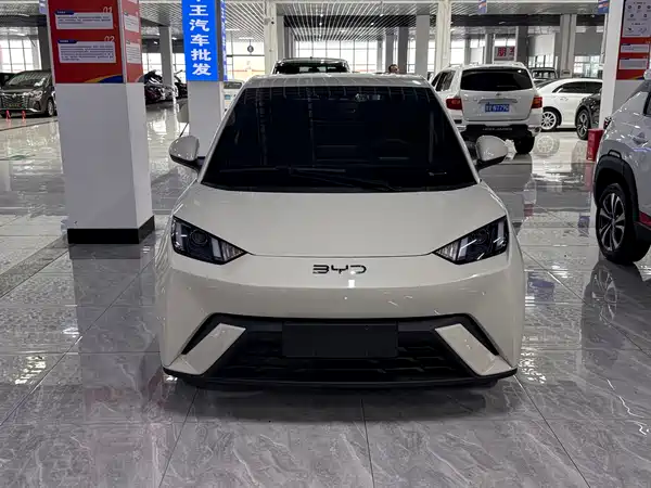 BYD Seagull 2025