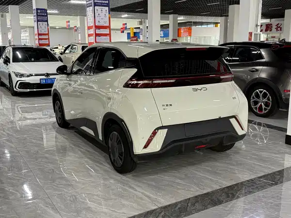 BYD Seagull 2025