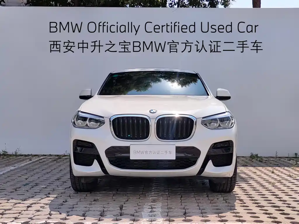 BMW X4 2020 — фото 2