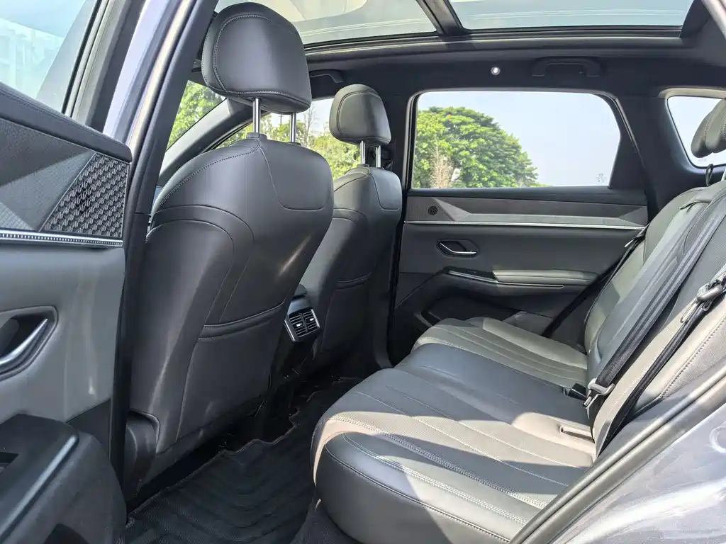 BYD Song Pro New Energy 2025 — фото 9