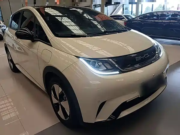 BYD Dolphin 2024