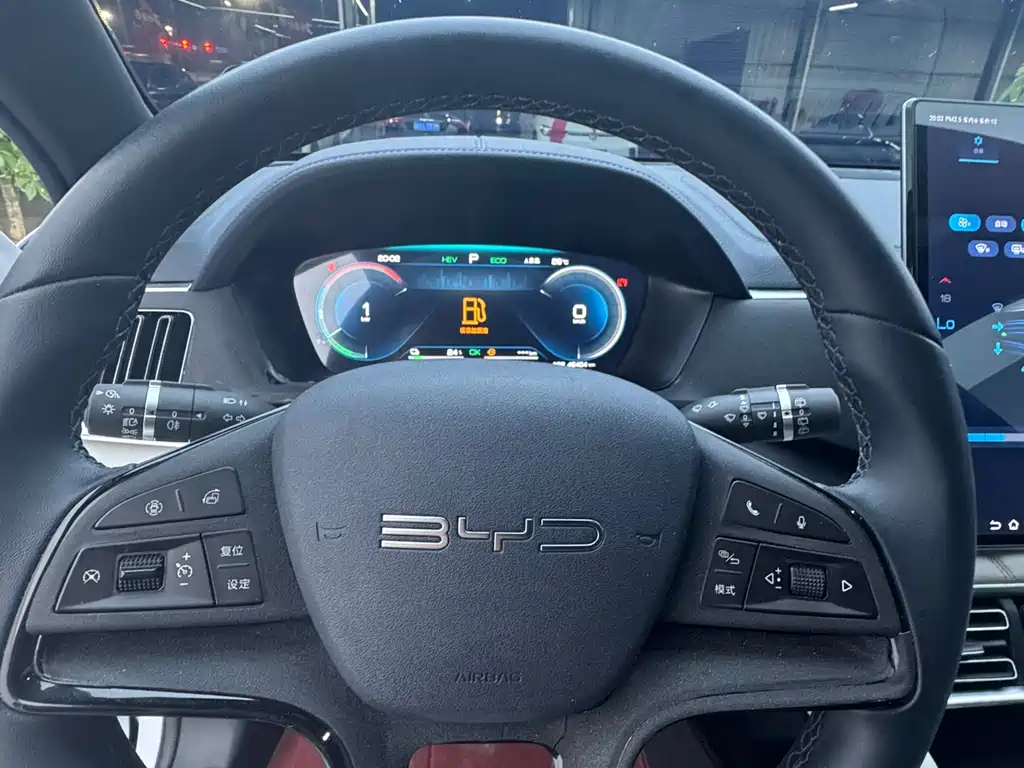 BYD PLUS New Energy 2024 — фото 16