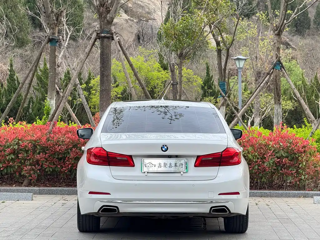 BMW 5 Series New Energy 2020 — фото 9