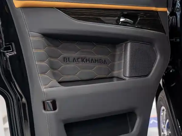 Ford Tourneo 2024