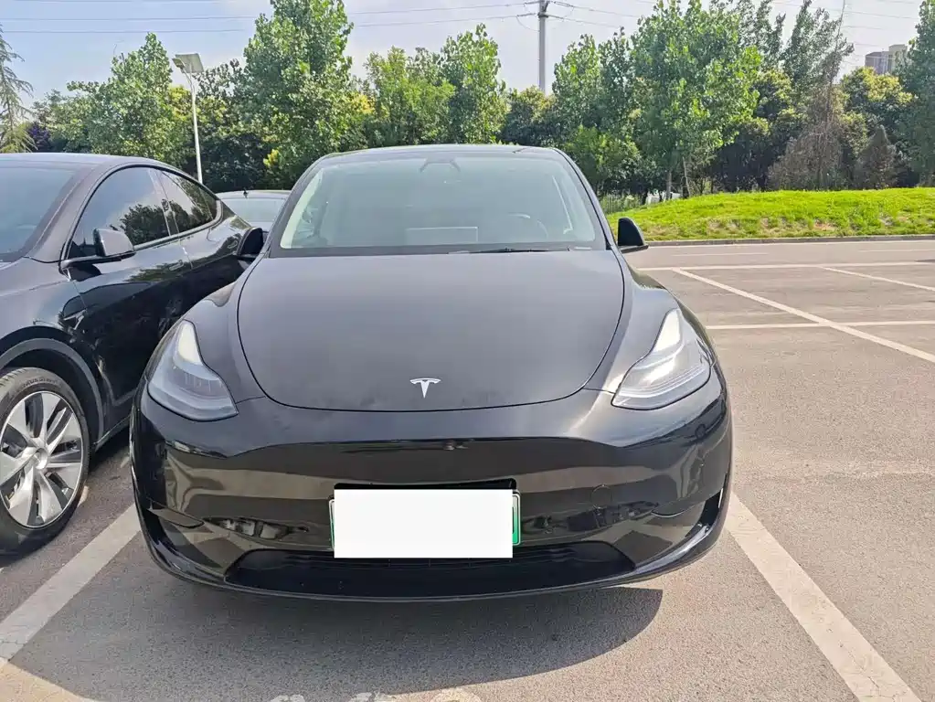 Tesla Model Y 2021 — фото 2
