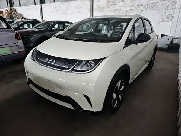 BYD Dolphin 2026