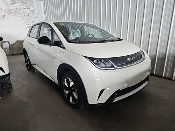 BYD Dolphin 2026
