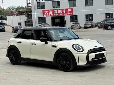 MINI MINI 2022
