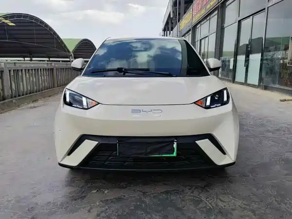 BYD Seagull 2024