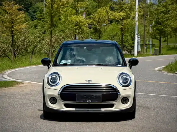 MINI 2019