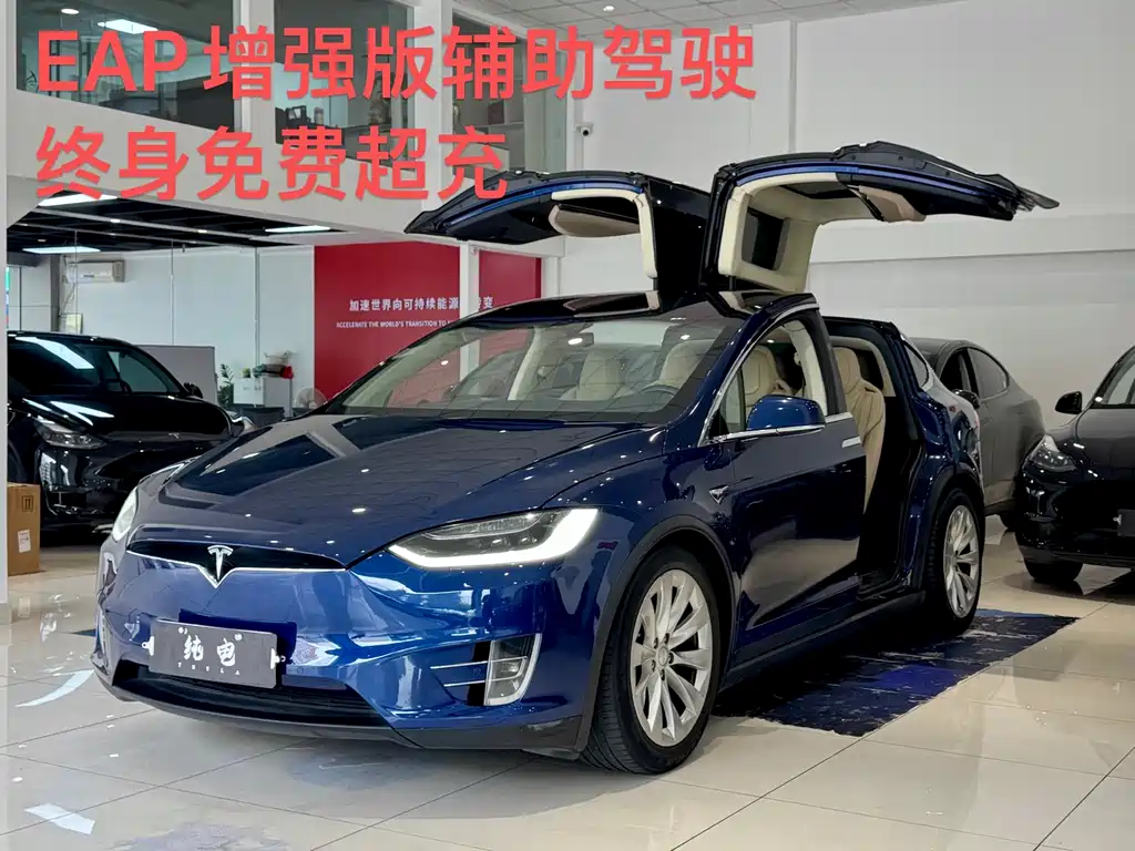 Tesla Model X 2017 — фото 1
