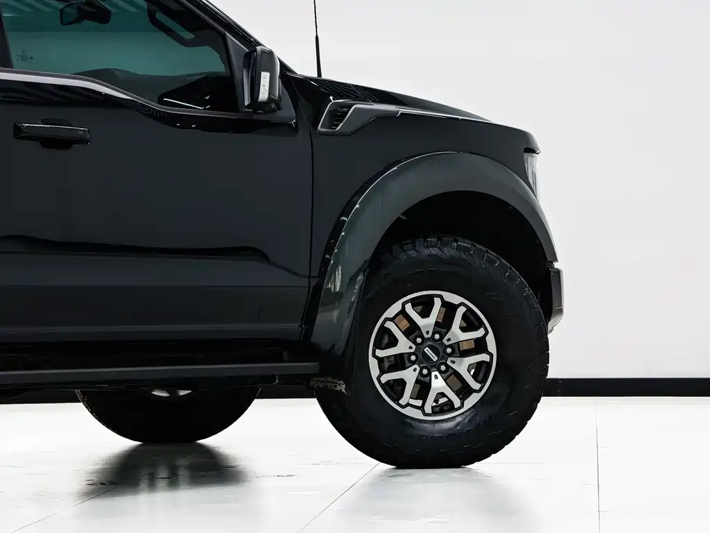 Ford F-150 Raptor 2024 — фото 20