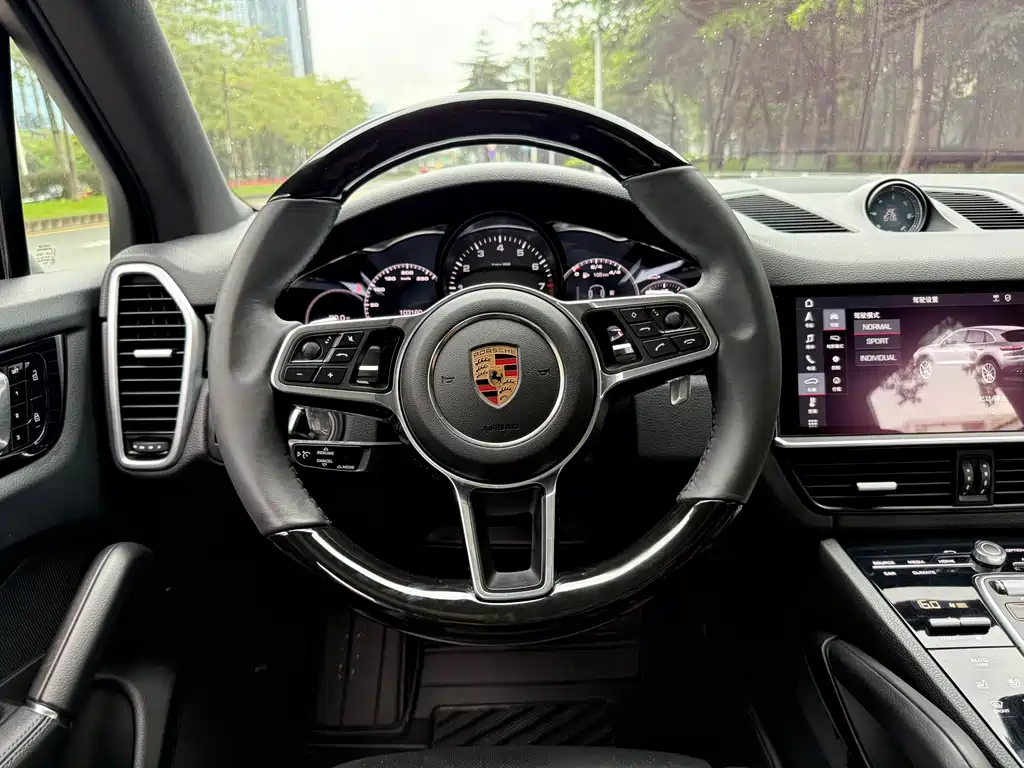 Porsche Cayenne 2020 — фото 10