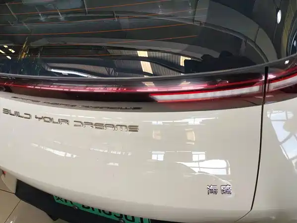 BYD Seagull 2024