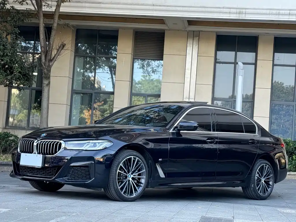 BMW 5 Series 2021