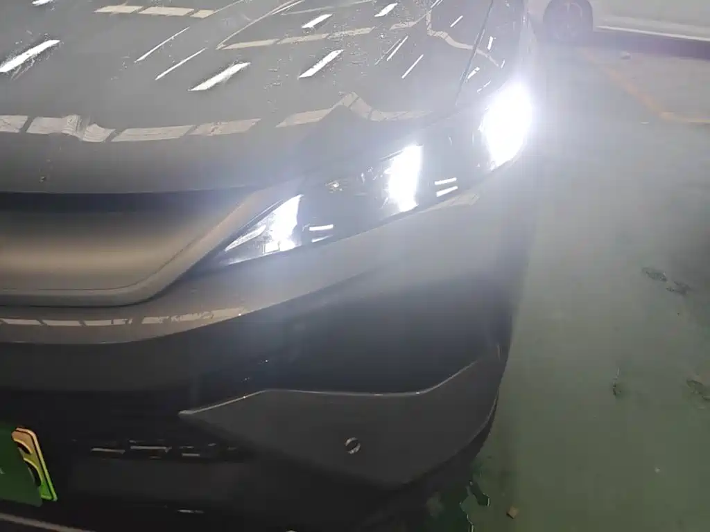 BYD Song Pro New Energy 2025 — фото 24