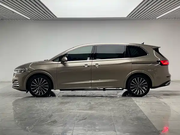 Volkswagen Viloran 2021