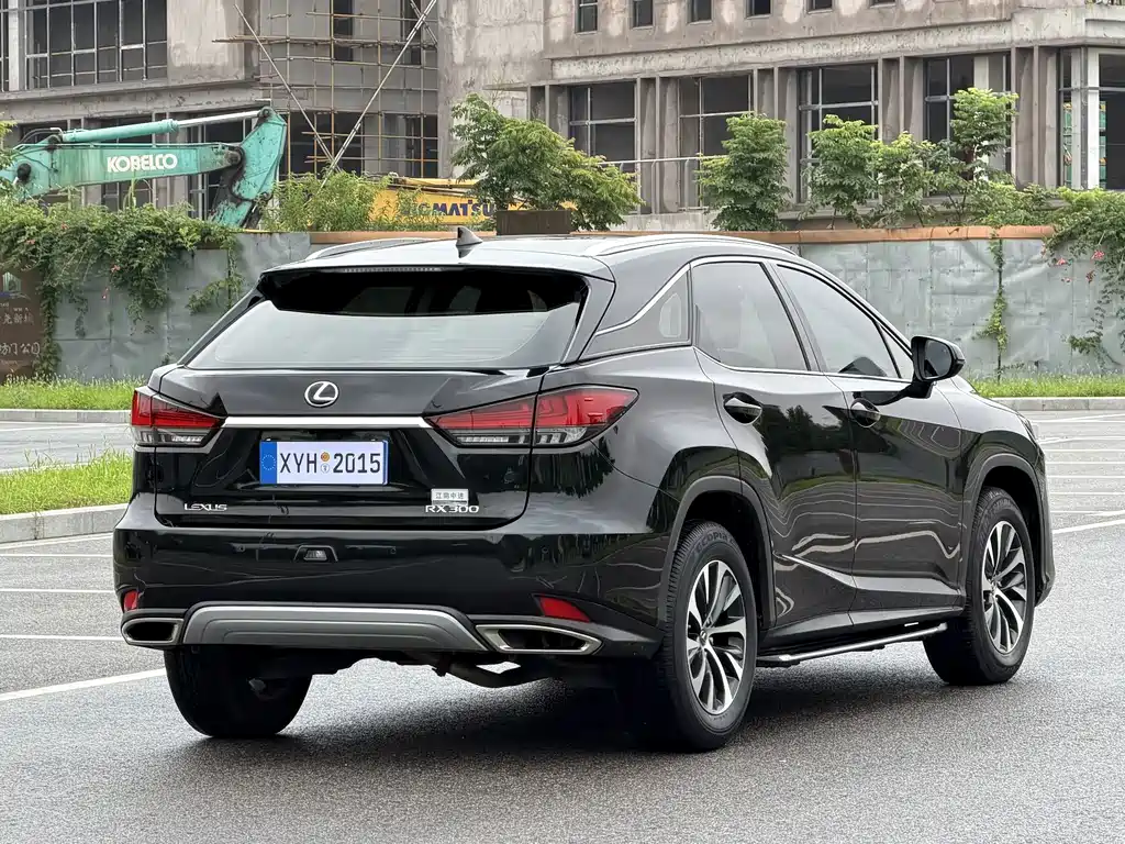 Lexus RX 2020 — фото 19