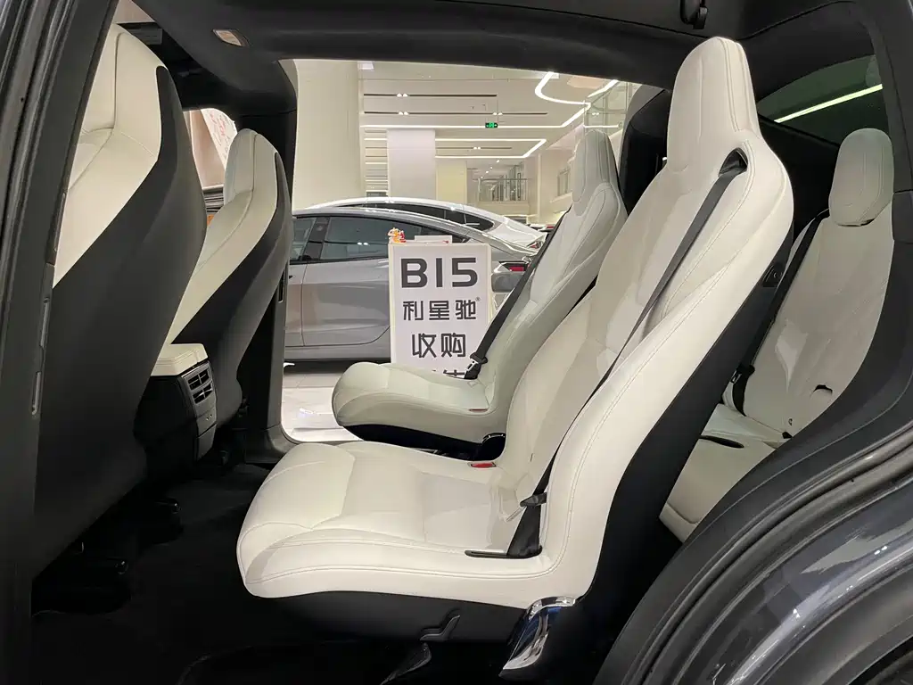 Tesla Model X 2019 — фото 6