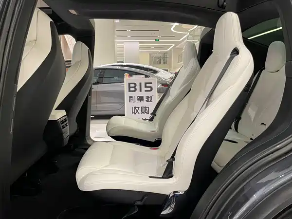 Tesla Model X 2019