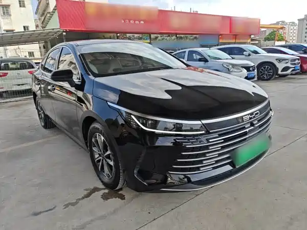 BYD Destroyer 05 2024