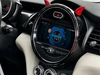 MINI MINI 2020