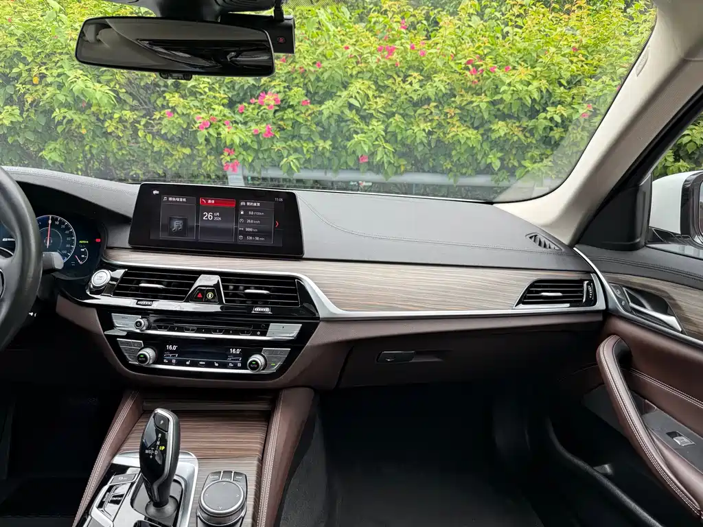 BMW 5 Series New Energy 2019