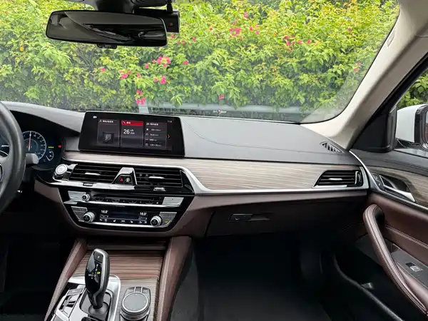 BMW 5 Series New Energy 2019