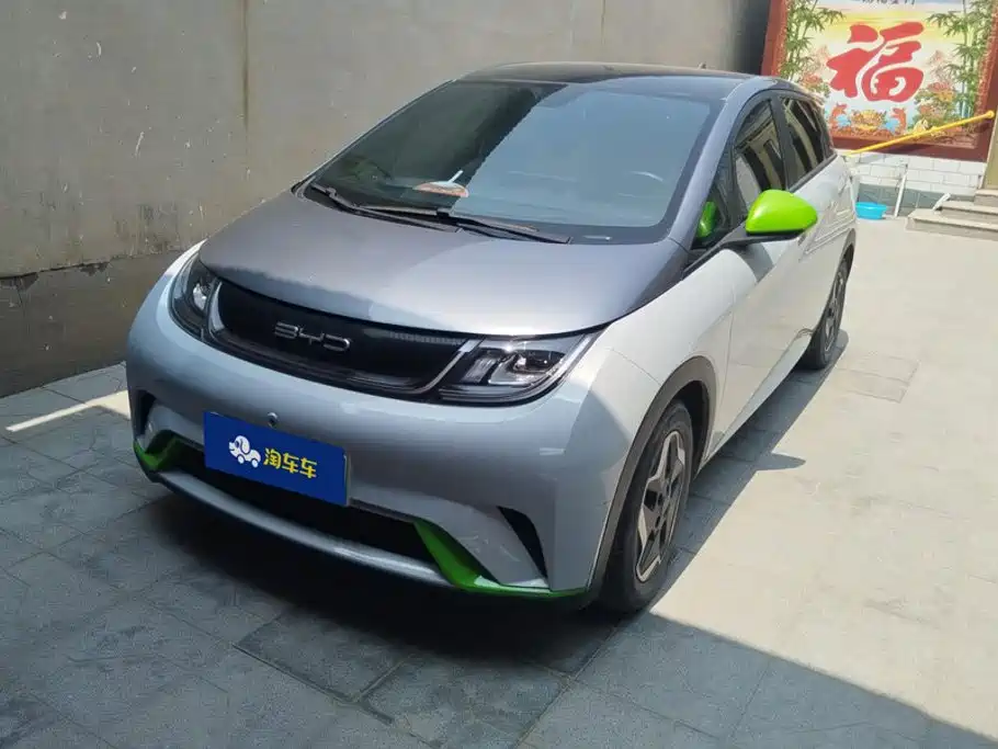 BYD Dolphin 2022