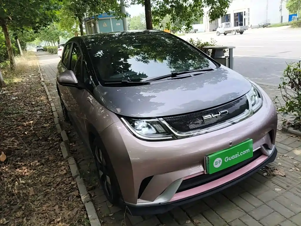 BYD Dolphin 2022