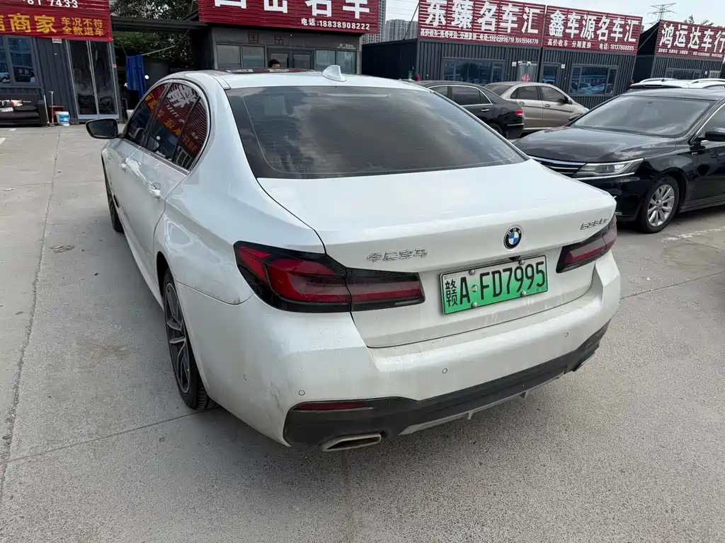 BMW 5 Series New Energy 2021
