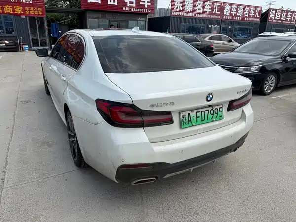 BMW 5 Series New Energy 2021
