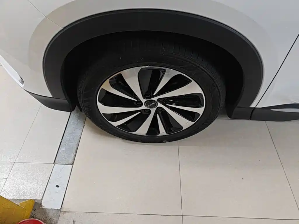 BYD PLUS New Energy 2024 — фото 23