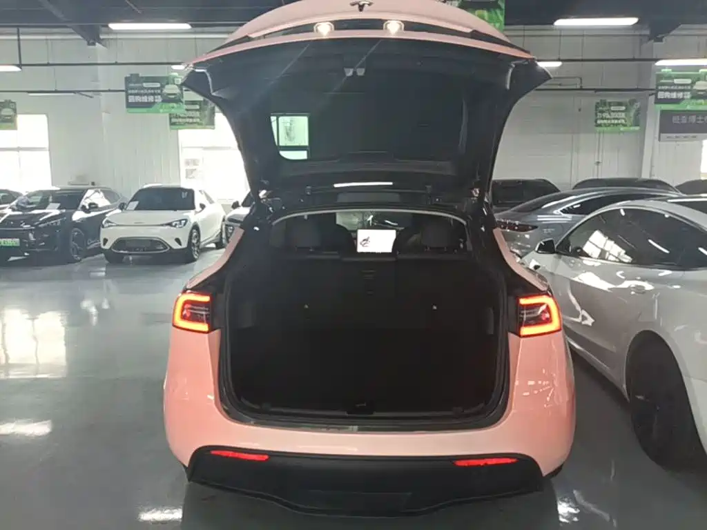 Tesla Model Y 2021 — фото 19