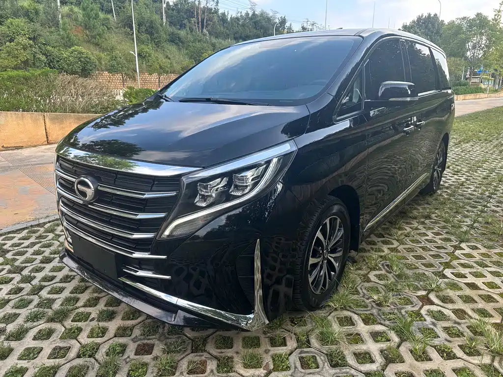 GAC Trumpchi M8 2023 — фото 1