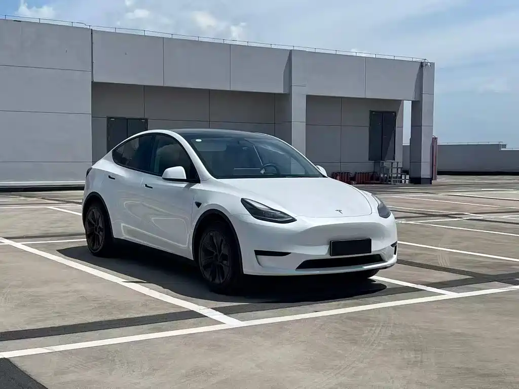 Tesla Model Y 2024 — фото 3